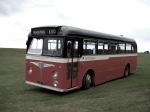 Leyland Tiger Cub PSUC1-2 1958 года